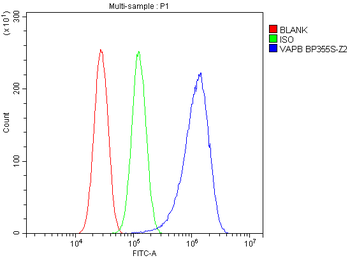 Anti-VAPB Antibody