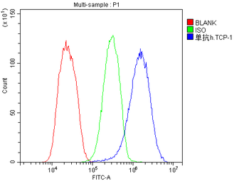 TCP1 alpha Antibody (monoclonal, 2E7)