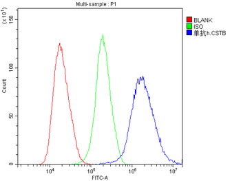 Stefin B CSTB Antibody (monoclonal, 2B6)