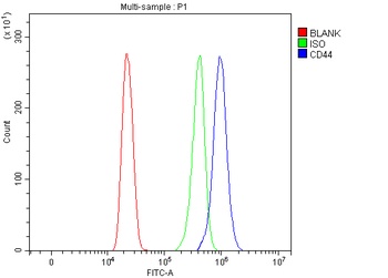 CD44 antigen CD44 Rabbit Polyclonal Antibody