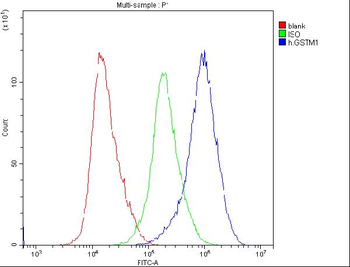 GSTM1 Antibody (monoclonal, 11F2)