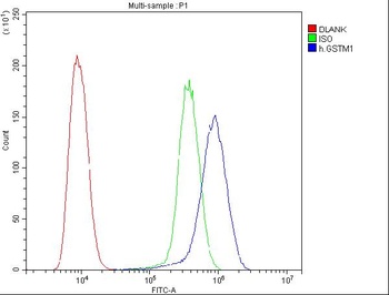 GSTM1 Antibody (monoclonal, 11F2)