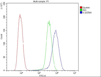 Anti-GSTM1 Antibody (monoclonal, 11F2)
