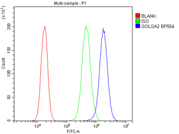 GM130/GOLGA2 Antibody