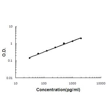 Interferon gamma IFNG Rabbit Polyclonal Antibody