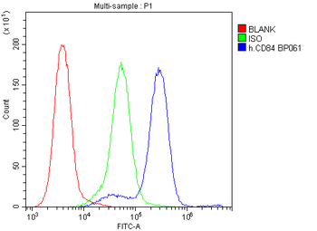 CD84 Antibody