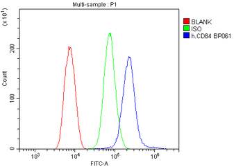 CD84 Antibody