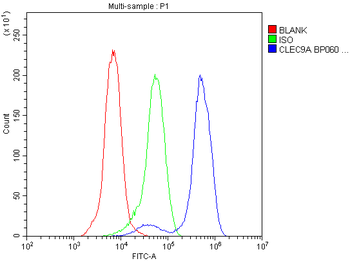 CLEC9A Antibody