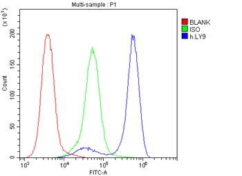 Anti-CD229/LY9 Antibody