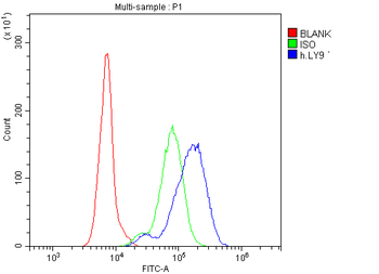 Anti-CD229/LY9 Antibody