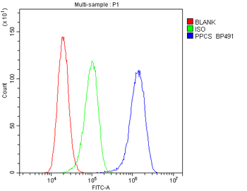 PPCS Antibody