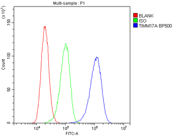 TIMM17A Antibody