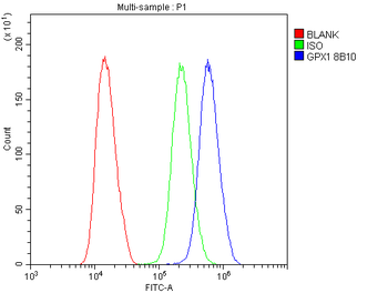 GPX1 Antibody (monoclonal, 8B10)