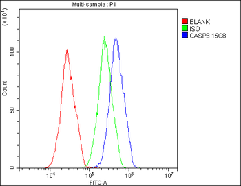 Caspase-3 Antibody (monoclonal, 15G8)