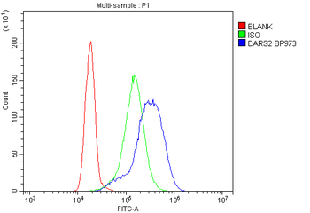 DARS2 Antibody
