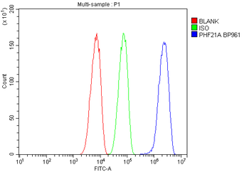 Anti-BHC80/PHF21A Antibody