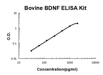 Bovine BDNF ELISA Kit