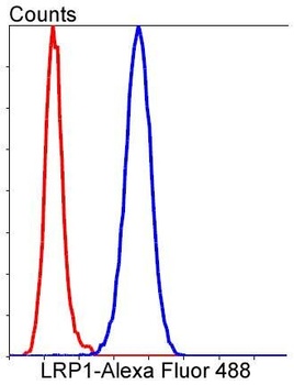 Anti-LRP1/Lrp 1 Cluster Ii Rabbit Monoclonal Antibody