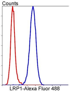 LRP1/Lrp 1 Cluster Ii Rabbit Monoclonal Antibody