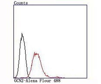 GCN2 EIF2AK4 Rabbit Monoclonal Antibody