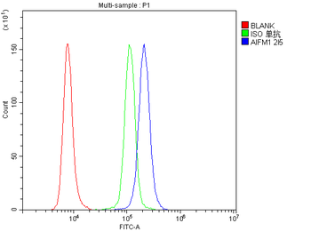 AIF/AIFM1 Antibody (monoclonal, 2I5)