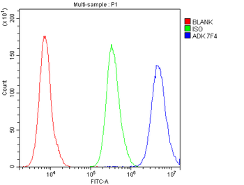 ADK Antibody (monoclonal, 7F4)