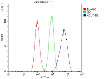ATP citrate lyase ACLY Antibody (monoclonal, 5I2)