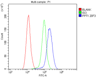 Anti-PPT1 Antibody (monoclonal, 10F3)