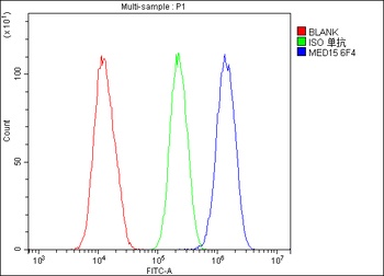 MED15 Antibody (monoclonal, 6F4)