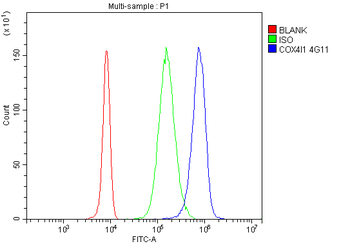 COX IV COX4I1 Antibody (monoclonal, 4G11)