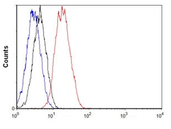 Phospho-EIF2S1 (S51) Rabbit Monoclonal Antibody