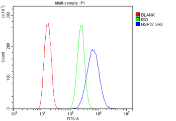 Anti-Hsp27/HSPB1 Antibody (monoclonal, 3H3)