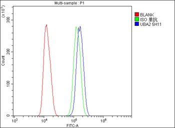 SAE2/UBA2 Antibody (monoclonal, 5H11)