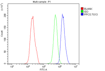 PPCS Antibody (monoclonal, 7G13)