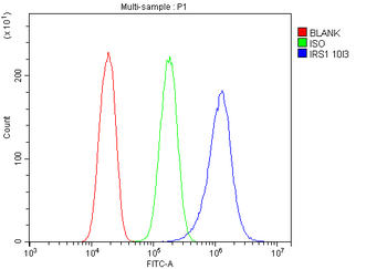 Anti-IRS1 Antibody (monoclonal, 10I3)