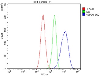 Hsp60/HSPD1 Antibody (monoclonal, 6G2)