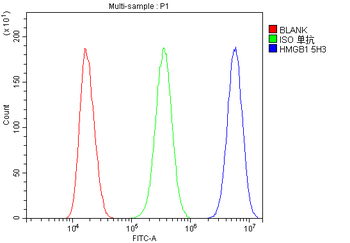 Anti-HMGB1 Antibody (monoclonal, 5H3)