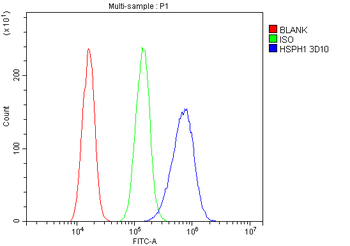 Hsp105/HSPH1 Antibody (monoclonal, 3D10)