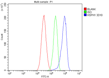 Anti-Hsp105/HSPH1 Antibody (monoclonal, 3D10)