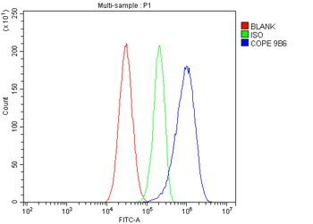 Anti-COPE Antibody (monoclonal, 9B6)