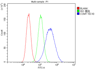 Anti-COMT Antibody (monoclonal, 15C10)