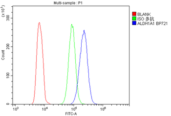 Anti-Retinal dehydrogenase 1 ALDH1A1 Antibody