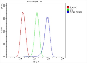 EIF4A1/2/3 Antibody