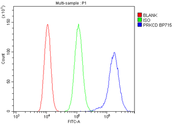 Anti-PKC delta/PRKCD Antibody