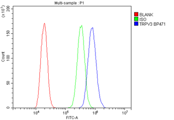 TRPV3 Antibody