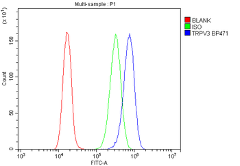 TRPV3 Antibody