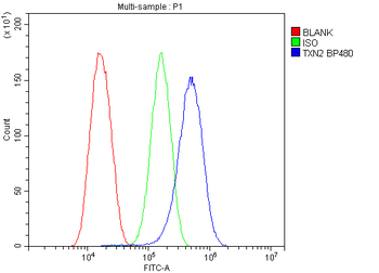 Anti-Thioredoxin 2/TXN2 Antibody