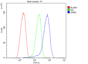 Metabotropic glutamate receptor 2/GRM2 Antibody