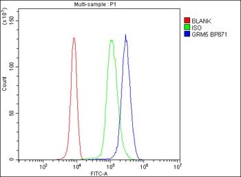 Metabotropic Glutamate Receptor 5/GRM5 Antibody