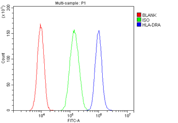 Anti-HLA-DR/HLA-DRA Antibody